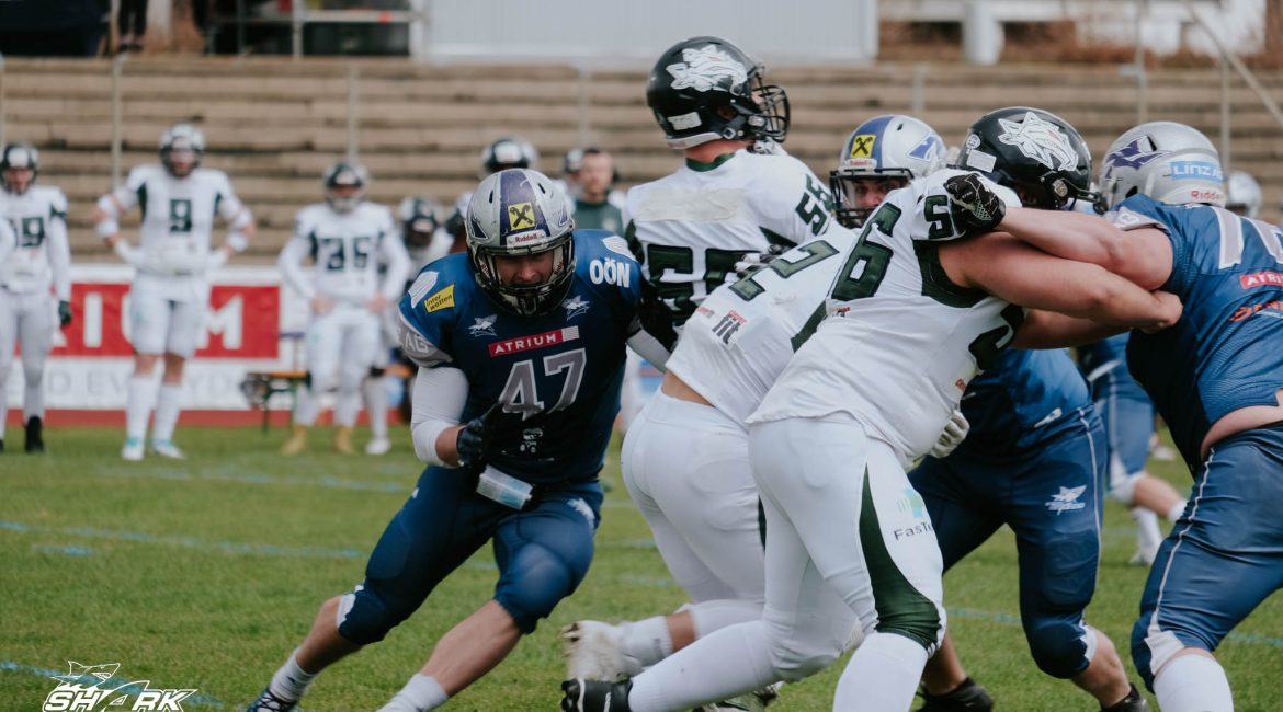 Steelsharks vs Dragons von 2022 Quarterbacksack von #47 Aufreiter